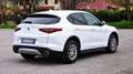Alfa Romeo Stelvio Stelvio 2.2 t Super rwd 160cv auto Bianco - thumbnail 6