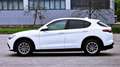 Alfa Romeo Stelvio Stelvio 2.2 t Super rwd 160cv auto Bianco - thumbnail 9
