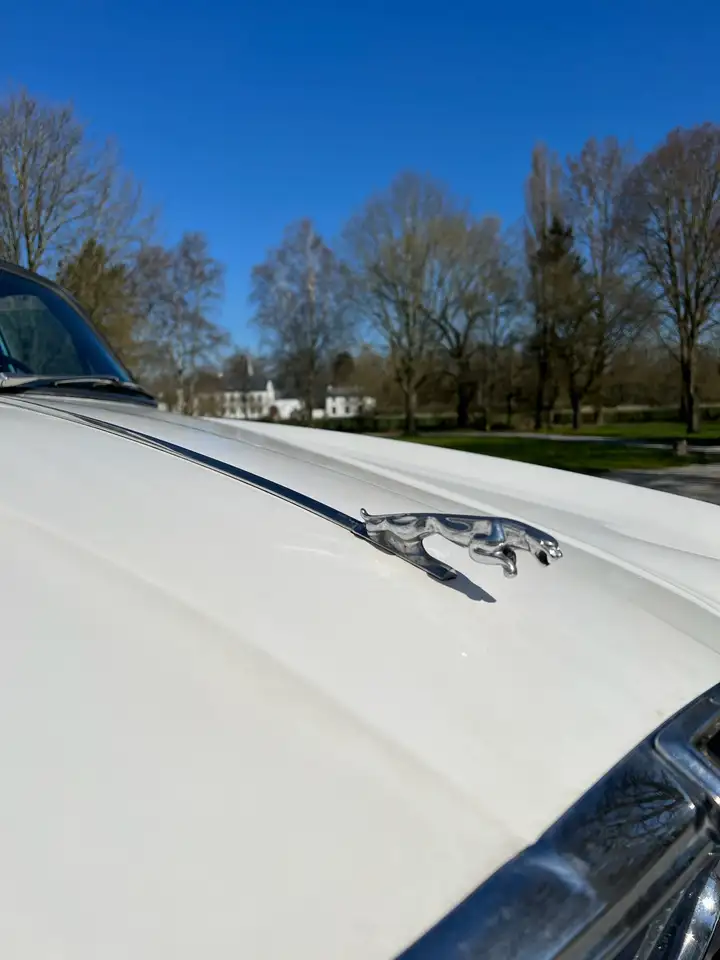 Jaguar XJ6, foto 5