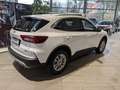 Ford Kuga 2.5 l PHEV 178 kW Titanium Weiß - thumbnail 3