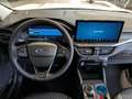 Ford Kuga 2.5 l PHEV 178 kW Titanium Weiß - thumbnail 4