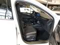 Ford Kuga 2.5 l PHEV 178 kW Titanium Weiß - thumbnail 5
