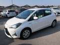 Toyota Yaris Yaris III 2017 5p 1.5h Business Bianco - thumbnail 15