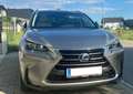 Lexus NX 300h NX 300h Executive Hybrid Aut. Executive Plateado - thumbnail 3
