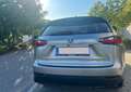 Lexus NX 300h NX 300h Executive Hybrid Aut. Executive Plateado - thumbnail 7