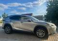 Lexus NX 300h NX 300h Executive Hybrid Aut. Executive Plateado - thumbnail 2