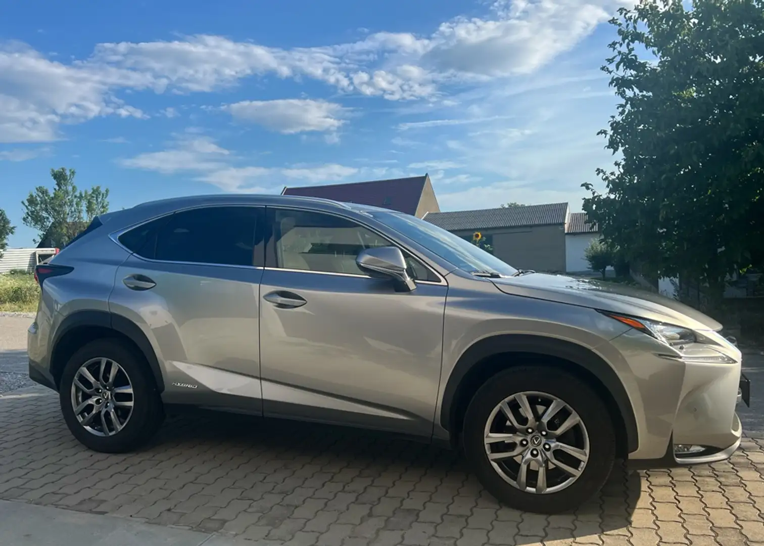 Lexus NX 300h NX 300h Executive Hybrid Aut. Executive Plateado - 2