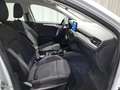 Ford Focus 1.5 EcoBlue Cool & Connect*AUTO*AHK* Bianco - thumbnail 3