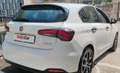 Fiat Tipo 5p 1.3 mjt Business s&s 95cv my20 - thumbnail 6