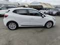 Renault Clio Blue dCi 8V 85 CV 5 porte Zen Bianco - thumbnail 5