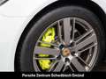 Porsche Panamera 4 E-Hybrid Platinum Edition LED-Matrix Weiß - thumbnail 14