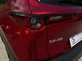 Mazda CX-30 e-Skyactive G140 Homura Aut. AUTO STAHL WIEN 21 Rot - thumbnail 7
