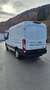 Ford Transit Transit Allrad Weiß - thumbnail 1