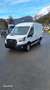Ford Transit Transit Allrad Weiß - thumbnail 3