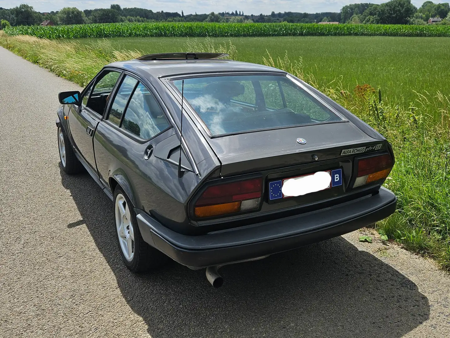 Alfa Romeo Alfetta GTV6 Gris - 2