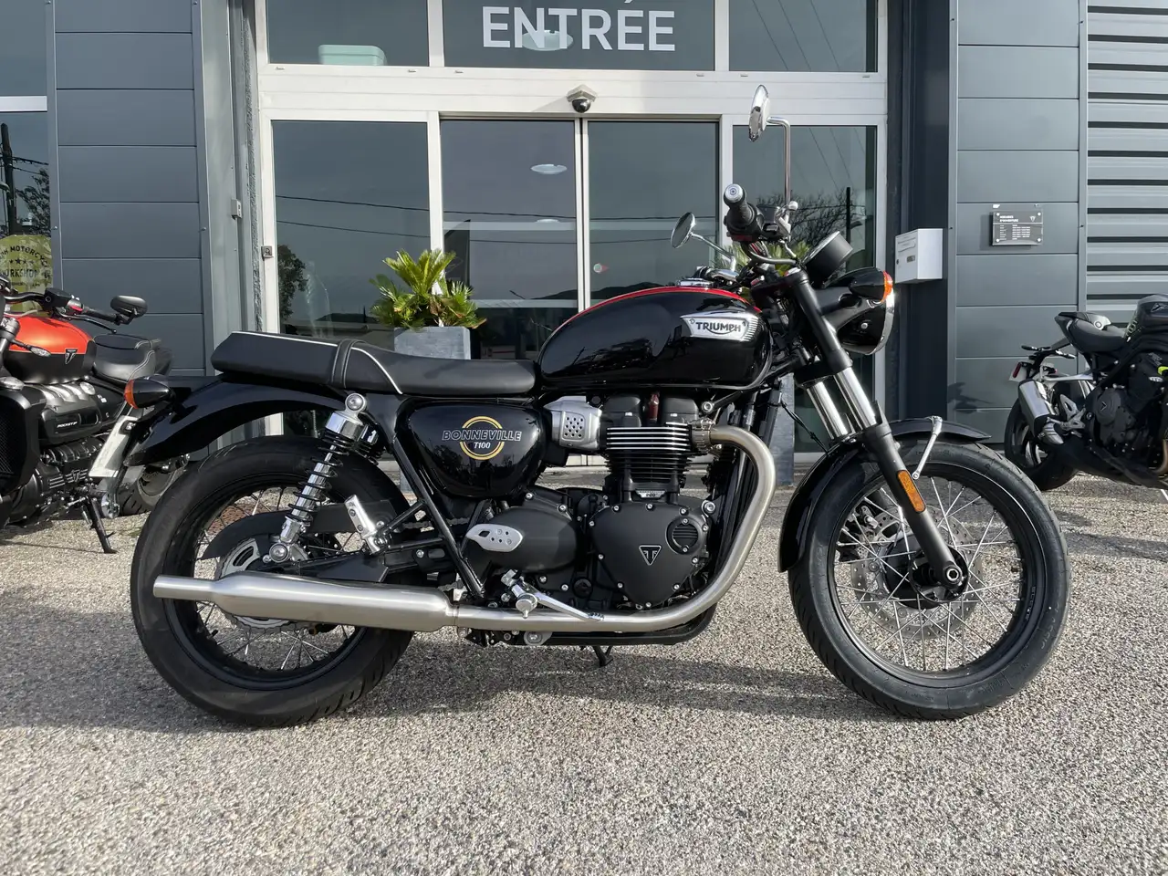 Triumph Bonneville T100