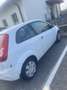 Ford Fiesta Bravo 1,3 - thumbnail 3