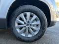 SEAT Ateca 1,0 TSI Reference Edition Grau - thumbnail 5