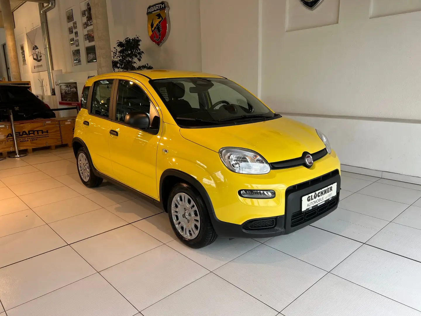 Fiat Panda Pandina Żółty - 2