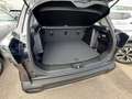 Suzuki S-Cross 1.4 HYBRID clear Silber - thumbnail 10