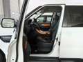 Land Rover Range Rover Sport Range Rover Sport I 2010 3.0 tdV6 S 211cv auto 8m Bianco - thumbnail 4