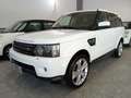 Land Rover Range Rover Sport Range Rover Sport I 2010 3.0 tdV6 S 211cv auto 8m Bianco - thumbnail 3