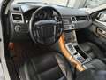 Land Rover Range Rover Sport Range Rover Sport I 2010 3.0 tdV6 S 211cv auto 8m Bianco - thumbnail 5