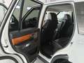 Land Rover Range Rover Sport Range Rover Sport I 2010 3.0 tdV6 S 211cv auto 8m Bianco - thumbnail 12