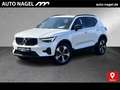 Volvo XC40 XC40 B4 Ultra Dark PIXEL-LED|SRA|19"|Ass.-Paket Weiß - thumbnail 1