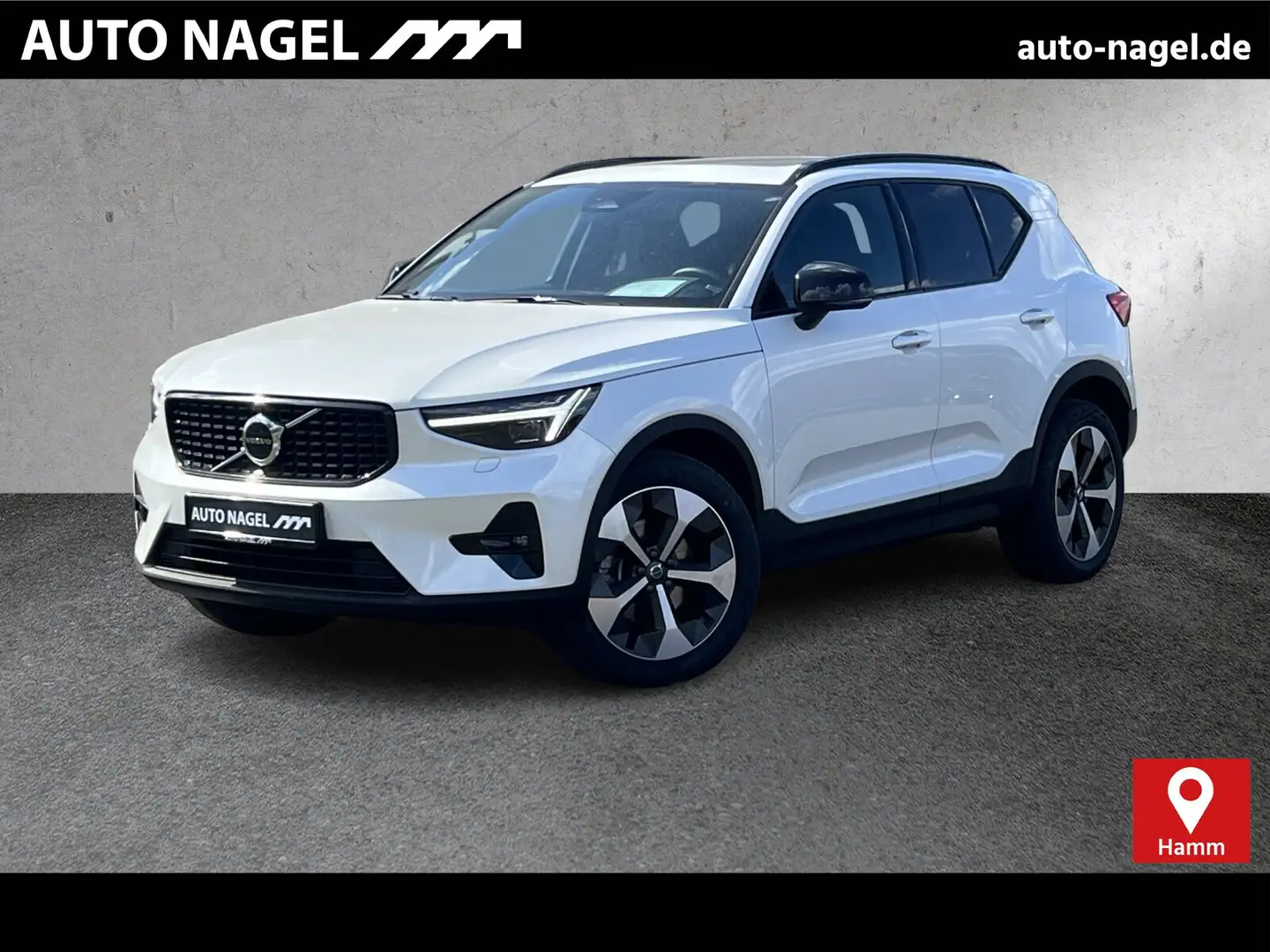 Volvo XC40 XC40 B4 Ultra Dark PIXEL-LED|SRA|19"|Ass.-Paket Weiß - 1