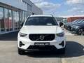 Volvo XC40 XC40 B4 Ultra Dark PIXEL-LED|SRA|19"|Ass.-Paket Weiß - thumbnail 8