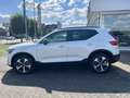 Volvo XC40 XC40 B4 Ultra Dark PIXEL-LED|SRA|19"|Ass.-Paket Weiß - thumbnail 3