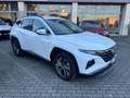 Hyundai TUCSON Tucson 1.6 t-gdi 48V 2wd Blanc - thumbnail 6