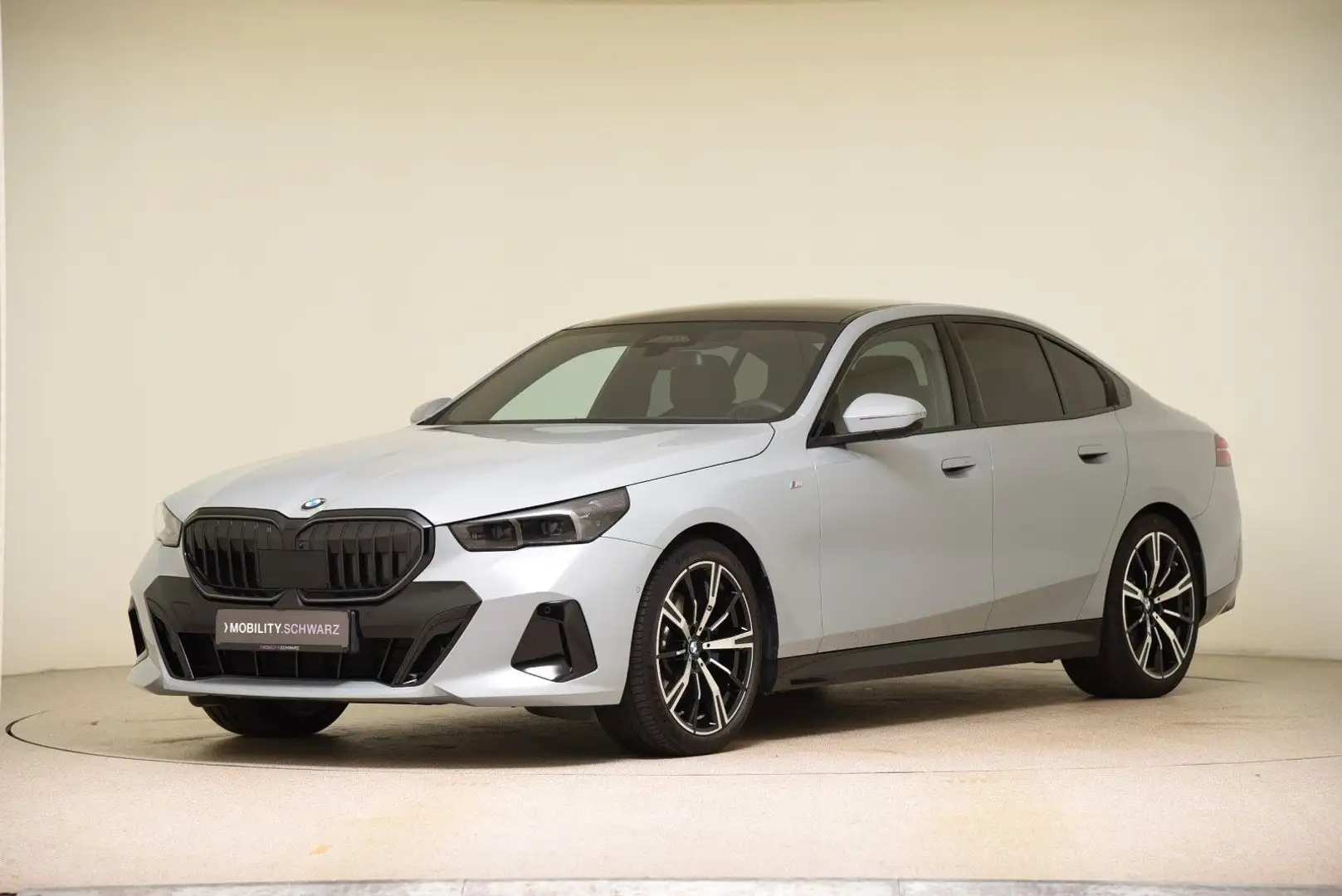 BMW 520 d xDrive M Sportpaket AHK DriveAssProf Sthzg Gris - 1