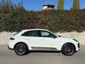 Porsche Macan 2.0 T IVA ESPOSTA Bianco - thumbnail 4