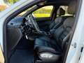 Porsche Macan 2.0 T IVA ESPOSTA Bianco - thumbnail 5
