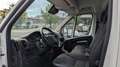 Peugeot Boxer Koffer L4 *3-Sitzer*Mit LBW Weiß - thumbnail 11