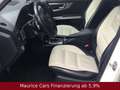 Mercedes-Benz GLK 320 *designo *4Matic Edition 1*PANO*HARMAN* Белый - thumbnail 6