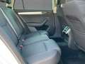 Skoda Superb Combi  2.0 TDI STYLE MATRIX+NAVI+KAMERA Alb - thumbnail 13