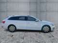 Skoda Superb Combi  2.0 TDI STYLE MATRIX+NAVI+KAMERA Alb - thumbnail 7
