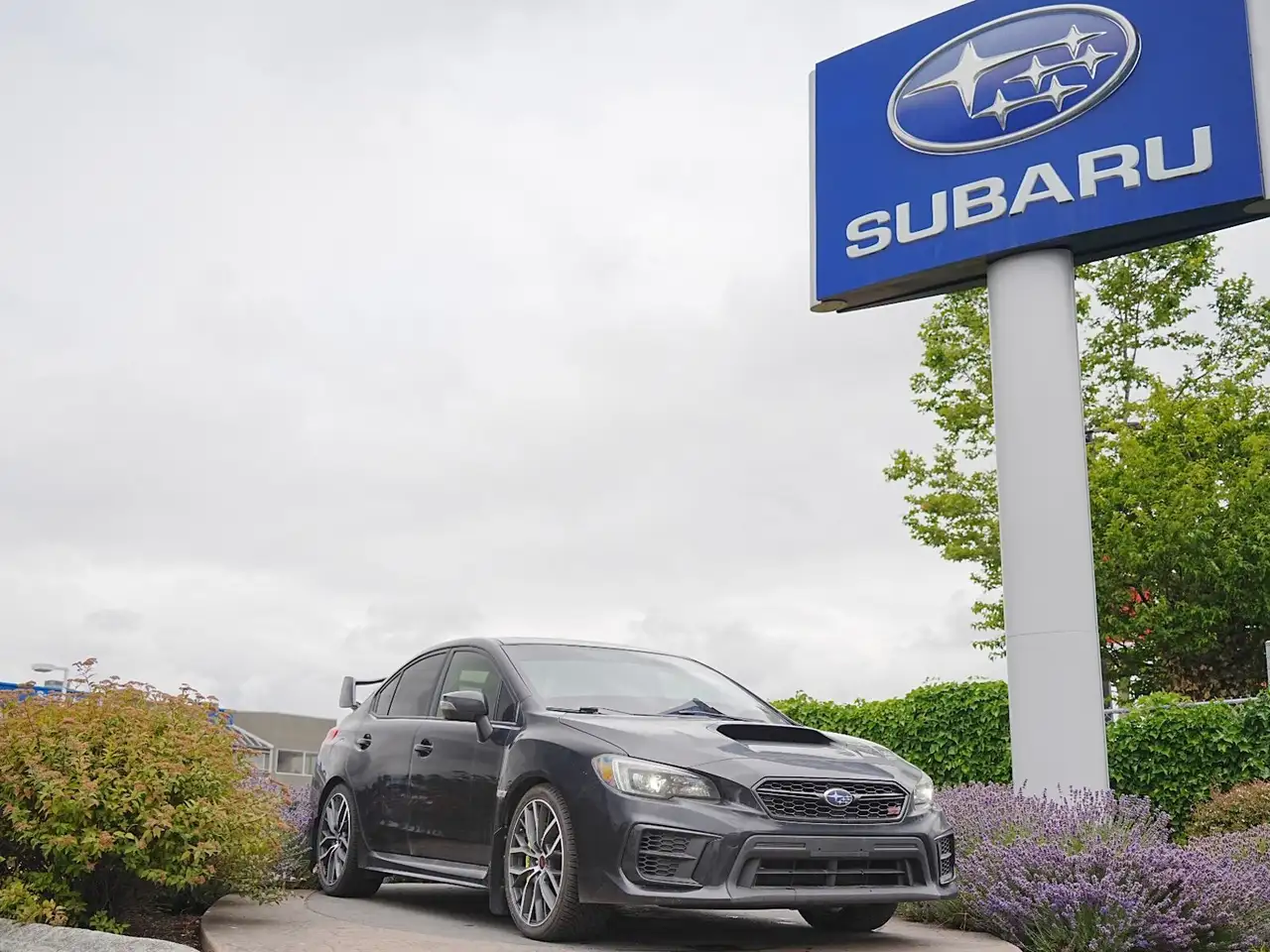2020 Subaru WRX