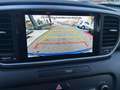 Kia Sportage 1.6 crdi mhev Black Edition 2wd 136cv dct Blu/Azzurro - thumbnail 12