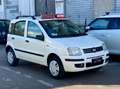 Fiat Panda Panda 1.2 METANO DELLA CASA Weiß - thumbnail 4