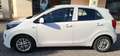Kia Picanto PICANTO 1.0 dpi Urban-67CV-BENZINA Weiß - thumbnail 5