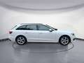 Audi A4 advanced 45 TFSI quattro Bianco - thumbnail 6