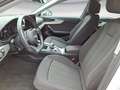 Audi A4 advanced 45 TFSI quattro Bianco - thumbnail 8