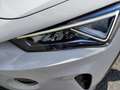 CUPRA Formentor FORMENTOR VZ  1.4 E-HYBRID DSG AHZV NAVI Blanco - thumbnail 14