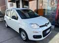 Fiat Panda Van 1.2 gpl Pop 69cv 2p.ti serie 3 E6d-temp Weiß - thumbnail 7