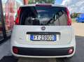 Fiat Panda Van 1.2 gpl Pop 69cv 2p.ti serie 3 E6d-temp Weiß - thumbnail 4