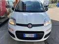 Fiat Panda Van 1.2 gpl Pop 69cv 2p.ti serie 3 E6d-temp Wit - thumbnail 11